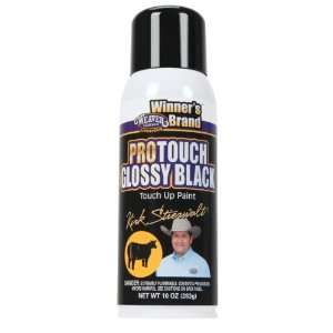  PROTOUCH PAINT KS 10OZ GL.BK ORMD &