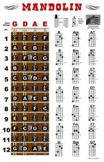 Mandolin Chord Fretboard Instructional Chart Poster  