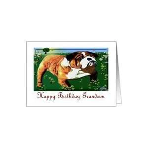  Happy Birthday ~ Grandson ~ Baxter the Bulldog in the 