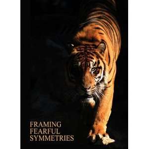 Framing Fearful Symmetries 9781848765764  Books
