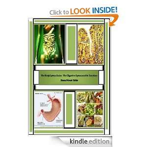 The Body System Series The Digestive System and its Functions Alana 
