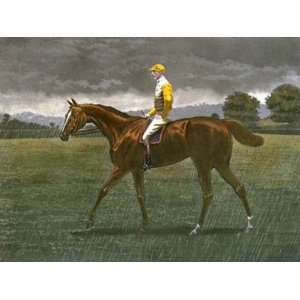 Sanfoin In The Rain Etching Bird, Harrington Stock, C R Horse Racing 