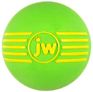 JW iSqueak Squeaker Ball MEDIUM Durable Squeaky Dog Toy  