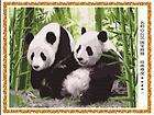 Acrylic Paint by Number kit 20x16 Panda, DIY Oil Painting kits.