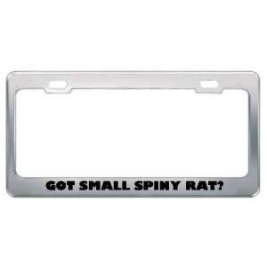 Got Small Spiny Rat? Animals Pets Metal License Plate Frame Holder 