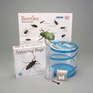 Beetle Races Amazing Bugs Kit  Industrial & Scientific