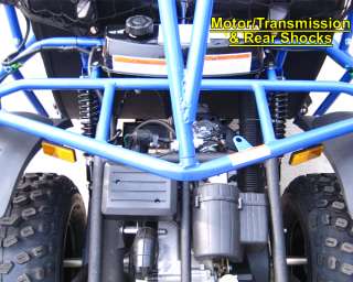   Dune Buggy FREE SHIP Automatic+Reverse in Dune Buggies / Sand Rails