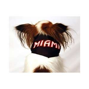  Sports Enthusiast Miami Basketball Dog Bandana (Small 