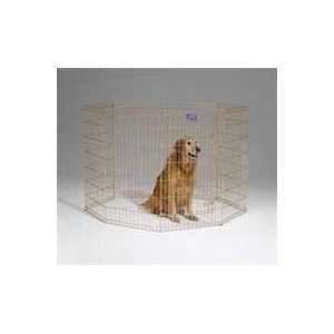 Best Quality 8 Panel Exercise Pen / Gold Size 24X42 Inch 