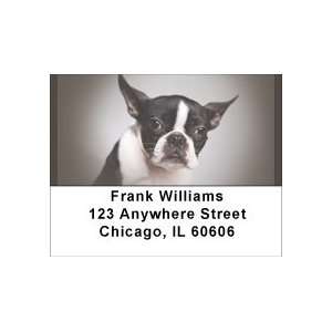  For Boston Terrier Lovers Address Labels