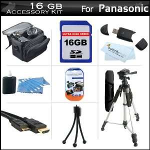  16GB Accessory Kit For Panasonic HDC TM90K 3D Compatible 