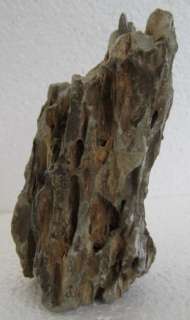 LARGE FOSSIL PETRIFIED WOOD / TREE PART prob was in SEA  