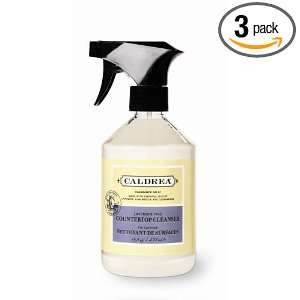   Countertop Cleanser, Lavender Pine, 16 Ounce Bottles (Pack of 6