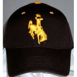  Wyoming Cowboys Wool Team Color One Fit Hat Sports 