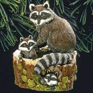 Curious Raccoons Majestic Wilderness 3rd in Series 1999 Hallmark 