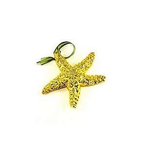  REAL SHELL Starfish Ornament Dipped in Gold