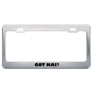  Got Hai? Boy Name Metal License Plate Frame Holder Border 