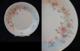 ROYAL ALBERT c1987 90 For All Seasons BREATH OF SPRING SALAD PLATE (s 