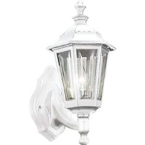  Incandescent Cast Aluminum Outdoor Wall Lantern in White 