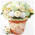 WMU Nikkis Baby Blossom Clothing Bouquet Gift Neutral