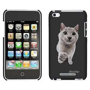  Chartreux on iPod Touch 4 Gumdrop Air Shell Case 