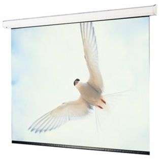 Inflatable Projection Screen  