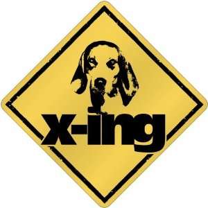 New  English Coonhound X Ing / Xing  Crossing Dog 