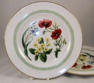 Spode COUNTRY LANE 2 Dinner Plates GREAT VALUE  