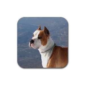 American Staffordshire Rubber Coaster (4 pack) DD0016