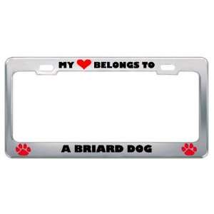 My Heart Belongs To A Briard Dog Animals Pets Metal License Plate 