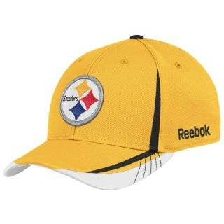  Pittsburgh Steelers   NFL / Clothing & Accessories / Fan 
