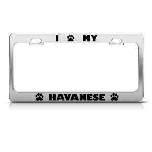 Havanese Dog Dogs Chrome Animal Metal License Plate Frame Tag Holder