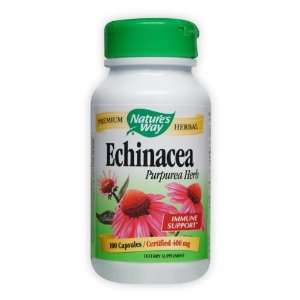  Echinacea