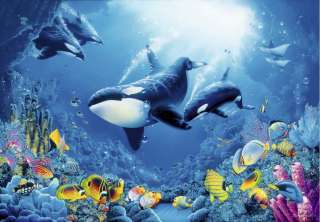 Fototapete DELIGHT OF LIFE 366x254 Korallenriff Orcas Rochen 