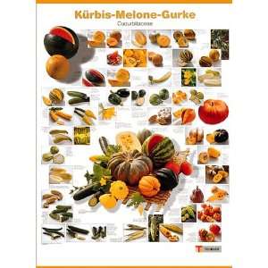 Kürbis, Melone, Gurke. Poster Cucurbitaceae  Christian 