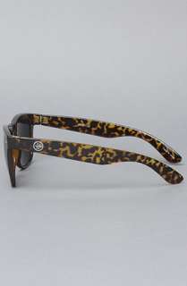 All Day The 55mm Wayfarer Sunglasses in Leopard  Karmaloop 