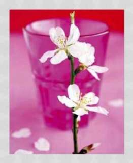 Kunstdruck Poster Amélie Vuillon Almond Tree Flower  