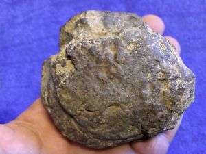 Meteorit  NWA  398 Gramm Steinmeteorit  
