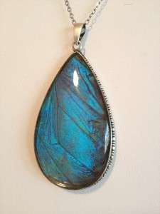 Victorian STERLING Silver Morpho BUTTERFLY Wing Pendant Necklace 