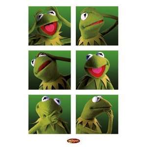 Poster Kermit der Frosch   Muppets   Maxiposter   Größe ca. 61 x 91 