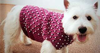 Beaded Dog Sweater Intermediate   Instructions given fit X small 