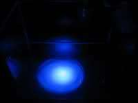 Finnex 4 Gallon Nano Aquarium Moonlight LED 6500k Bulb  