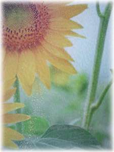 Sunflower Tempered Glass Cutting Board~Kitchen Decor  