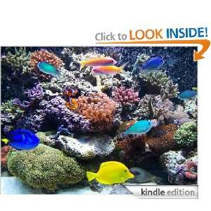 The Ultimate Aquariums Guide Jason Huang  Kindle Store