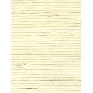  Wallpaper Astek Grasscloth & textures V AtX232