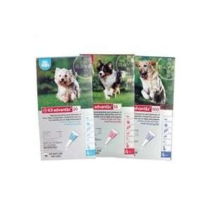  K9 ADVANTIX Blue 55+ Lbs, 4pk