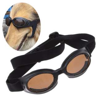 Fashion Pet UV Sunglasses Dogs Doggles Goggle Eye Wear Protection 