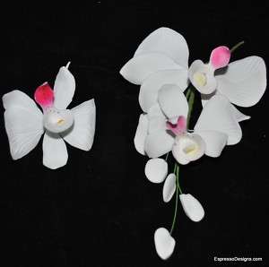 Gumpaste Phalaenopsis Orchid Cake Decorations Flower To  