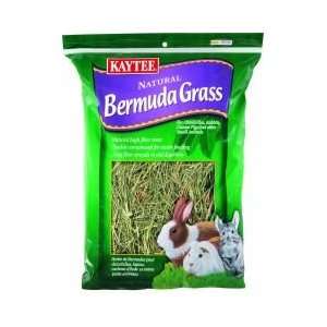  Central Avian & Kaytee Bermuda Grass 16 Ounces   100032091 