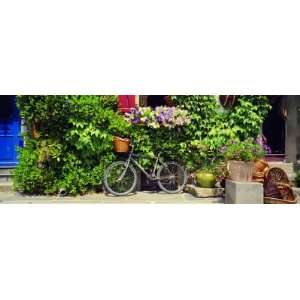 Bicycle in Front of Wall Covered with Plants and Flowers, Rochefort En 